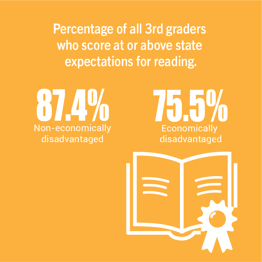 Percentage of all 3rd graders who score at or above state expectations for reading